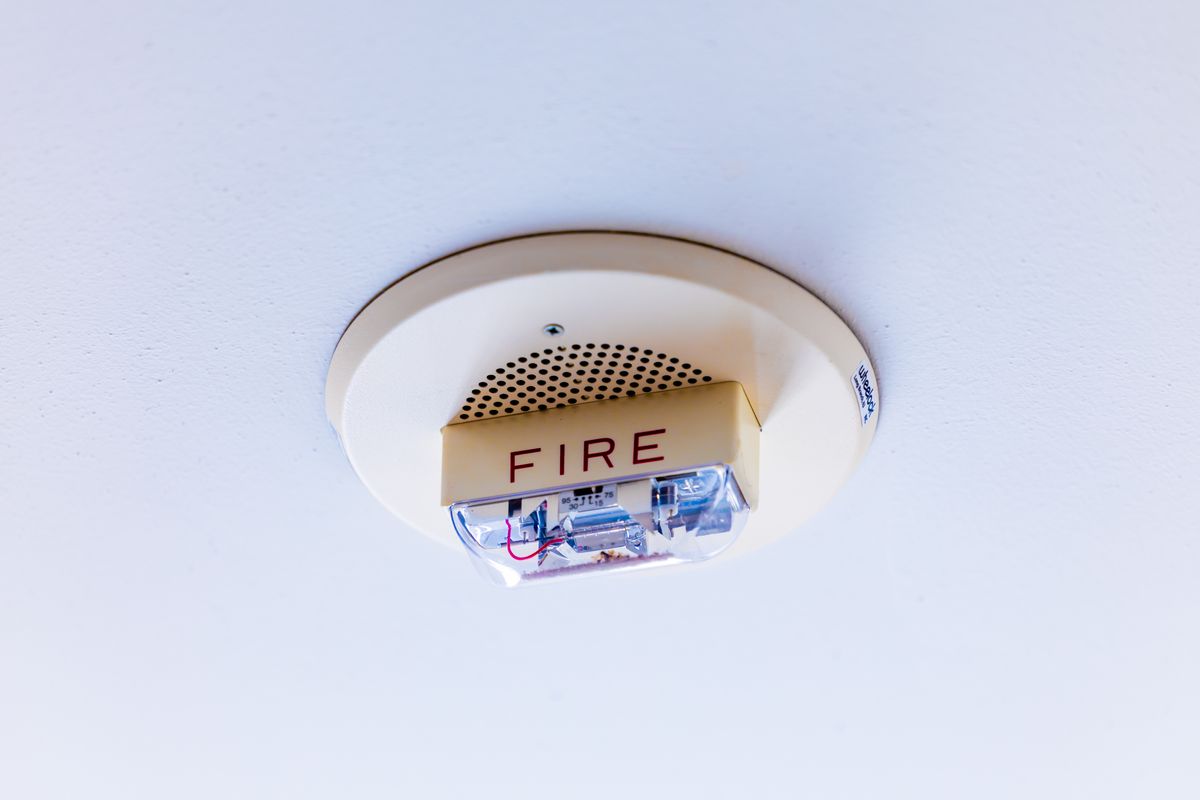 Gasfiter usando un detector de humedad para ubicar una fuga de agua oculta en una pared