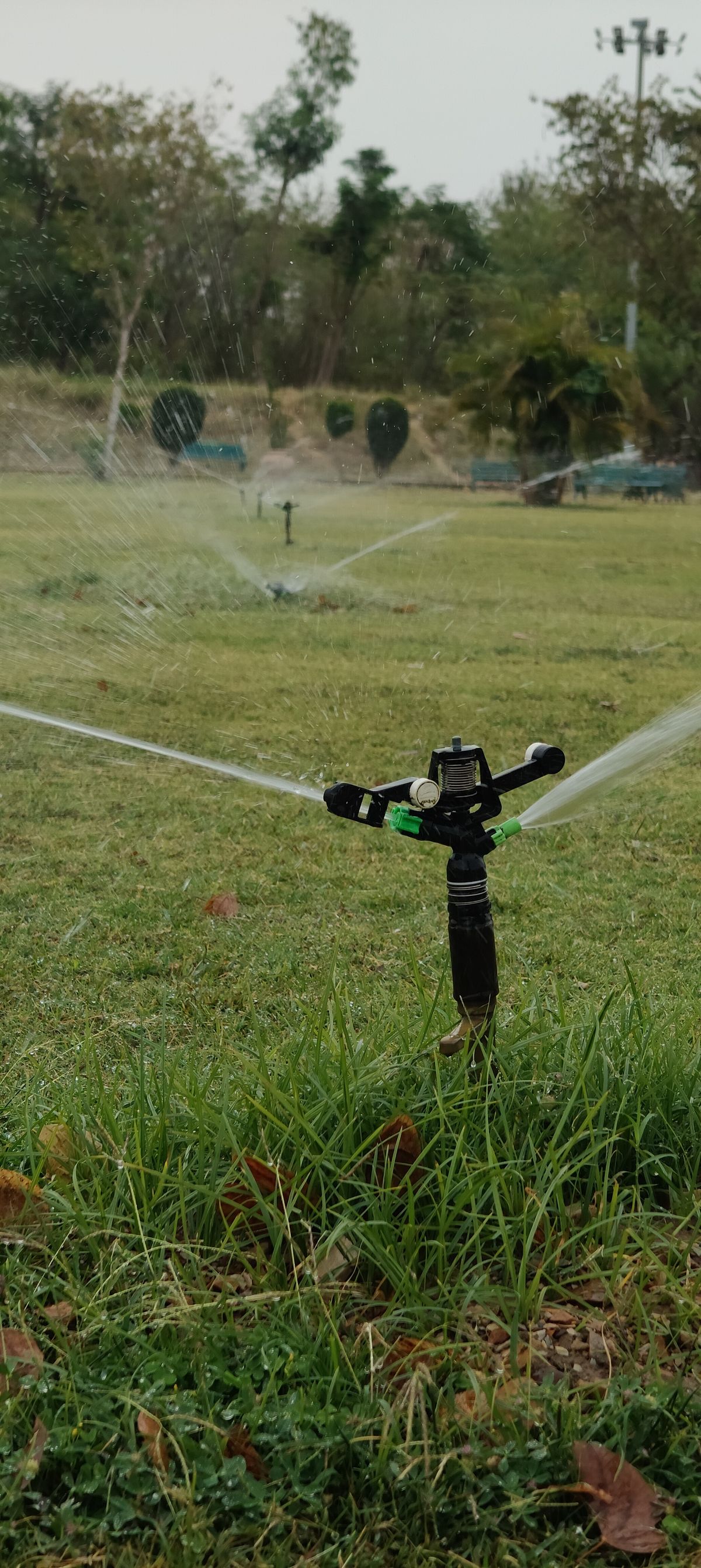 Zona de pasto visiblemente más verde y húmeda en un jardín, señal de fuga subterránea