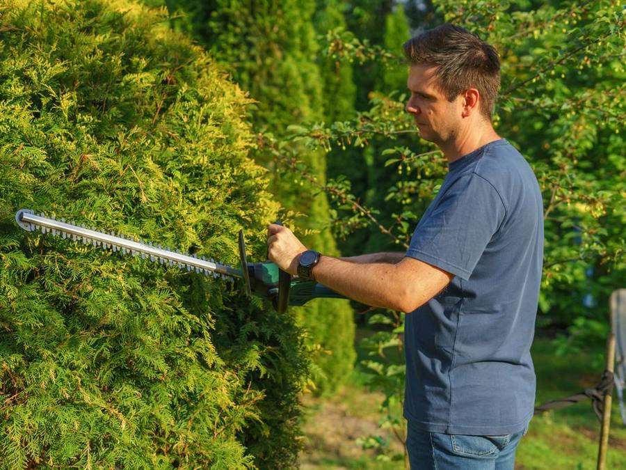 ¿Cuánto cobra un jardinero en Santiago? Guía de precios 2026
